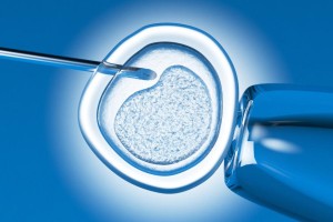 4个研究团队报告：已造出与14天大真实胚胎非常相似的人造胚胎