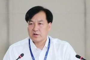 陕西省引汉济渭工程建设有限公司原董事长杜小洲被查，去年已退休