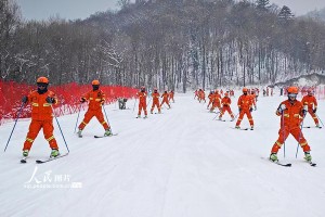 黑龙江哈尔滨森林消防开展雪域救援技术培训