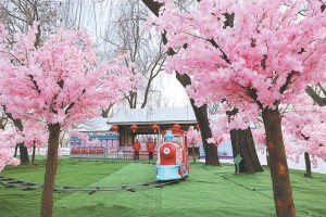 北京市属公园冰雪游园会明天开幕，4大类29项传统活动节日氛围拉满