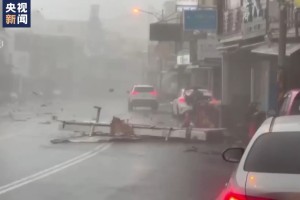台风“小犬”掠过台湾 灾区道路一片狼藉