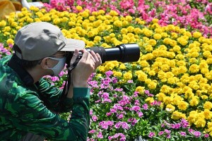 花展摄影比赛推广社区绿化