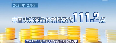 整体运行平稳 2024年12月大宗商品价格指数公布