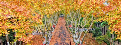 北京篇：為什麼冬日裏走進南京校園