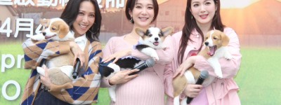 快完成辦理離婚手續 苟芸慧準備隨時再拍劇