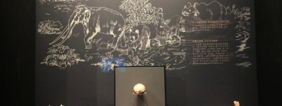 湖北省博物馆将“上新” 展陈文物1.6万余件