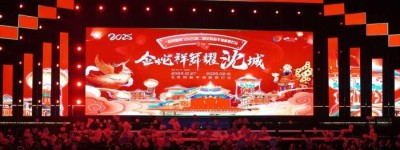 “点亮燃冬”2025和平湾新春灯会在沈阳启幕 邀各地游客共赏花灯如昼