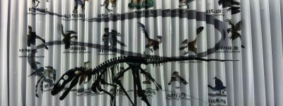 自然科学与人文艺术跨界融合 山西上演“龙变鸟”“蝶恋花”