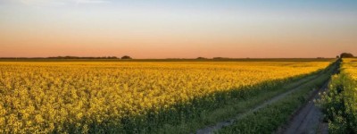 加拿大再受重击！中国对加拿大关税报复力度大