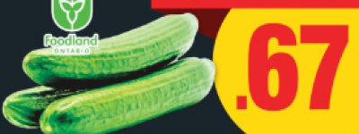 本周特价：木瓜$0.88/lb 芒果$7/箱 菜油史低价$5.88 送洗衣液