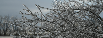 安省超过10万户断电：大多伦多“冻雨警告”持续天气状况有望改善