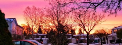 征文：移民，无悔的选择与心中的初心