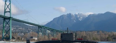 大温本周末最值得围观事件！海里一个大家伙引发轰动