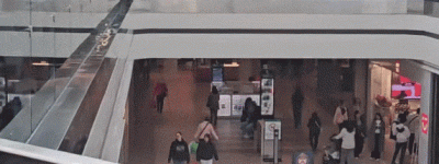 Fairview Mall数百人排爆抢破头！华人苦等3h：$17时薪卷哭了