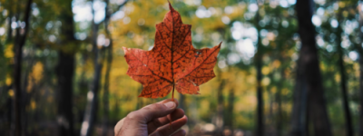 卡尼已放弃这些国家的国籍 在加国纳税