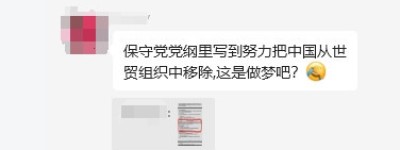 “保守党把反华条款写入党纲”消息引爆华人社交媒体，这是咋回事？