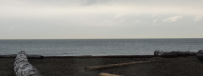 悲剧！大温安省两印度留学生丧生！专员警告：别去！尸袋里回来