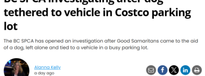 加拿大华人女子Costco干这事遭举报+罚款$300！全网怒了