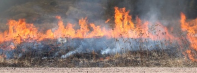 安省野火肆虐：东北与西北地区新出现多起野火