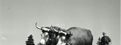 为什么我不看好加拿大的前景