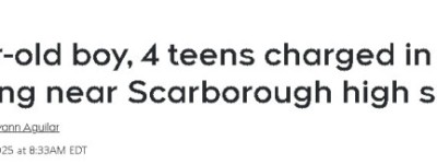 士嘉堡高中旁抢劫袭击案：五名少年被捕，最小仅12岁