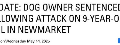 致9岁女孩被咬成重伤！约克区一名狗主人被判刑！