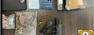 两士嘉堡青少年开车撞上驼鹿，警方一查竟发现枪支和毒品