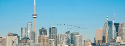 梦碎！我的中国留学生租客：多伦多拼博9年，累了，决定回流