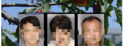 中国游客在美偷樱桃全被抓！面临重罪！加拿大华人急了