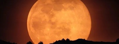 今夜往南看，“草莓月”又圆又亮又低又大，非常不真实！