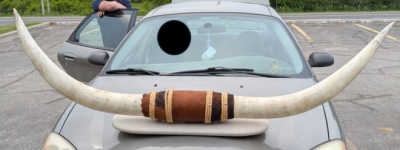 司机将巨大的牛角装在汽车引擎盖上：警方说不允许