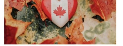 “拿护照就跑”？官方报告：93%移民入籍后十年还留在加拿大