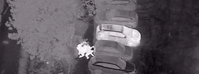 约克区警方公布最新“成绩单”：凶杀、抢车、入室盗窃案少了