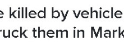 万锦加拿大鹅过马路被撞死5只！目击者称是蓄意冲撞