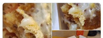 多伦多麦当劳”暴雷”: 一口汉堡, 咬出一大坨幼虫! 吓得魂飞魄散!