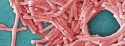 小心！安省西南部爆发严重肺炎疫情，与天气炎热和空调有关