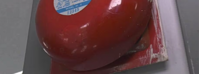 多伦多男子家中做饭触发警报：因“骚扰性”火警被罚1680元