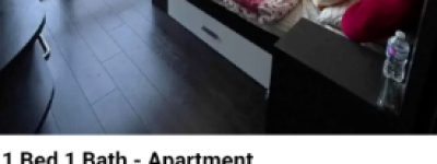 多伦多28岁男房东招租: 1室1卫仅$400/月! 看完条件全网炸了