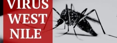 加拿大今年首例人感染此病毒，必知信息汇总