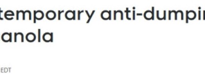 再受重击！中国对加拿大油菜籽征收75.8%反倾销税，原因曝光