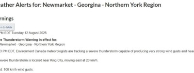 突发！万锦附近强雷暴来袭，阵风可达每小时100公里