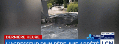 视频疯传！蒙特利尔父亲公园遛娃突遭陌生男子暴打，三个孩子吓哭