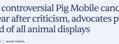 多伦多CNE“小猪展车”今年被迫取消, 动物农场区遭抵制!