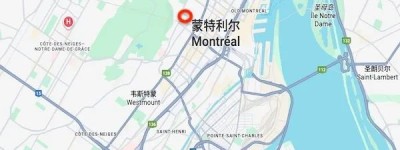 蒙特利尔这条路施工…工期8年，2033年底才会解封！