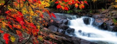 留学生骤减70%！新增20万永久居民: 印度人数碾压华人!