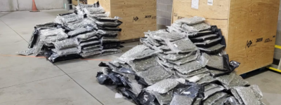 安省查获价值800万加元的非法大麻：多名华人涉案被捕