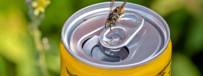 多伦多又到”黄蜂季”! 后院烧烤、公园野餐被围攻! 有人差点活吞