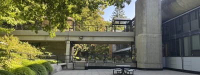 读懂加拿大-华人真的专坑华人吗？