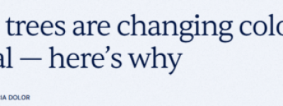 多伦多大批树叶突然变红! 专家: 今年提前了! 原因是…
