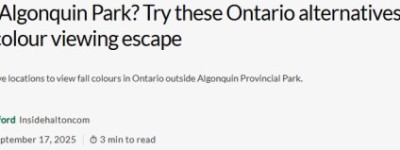 不想去阿冈昆人挤人？这些安省小众公园也能看绝美秋色